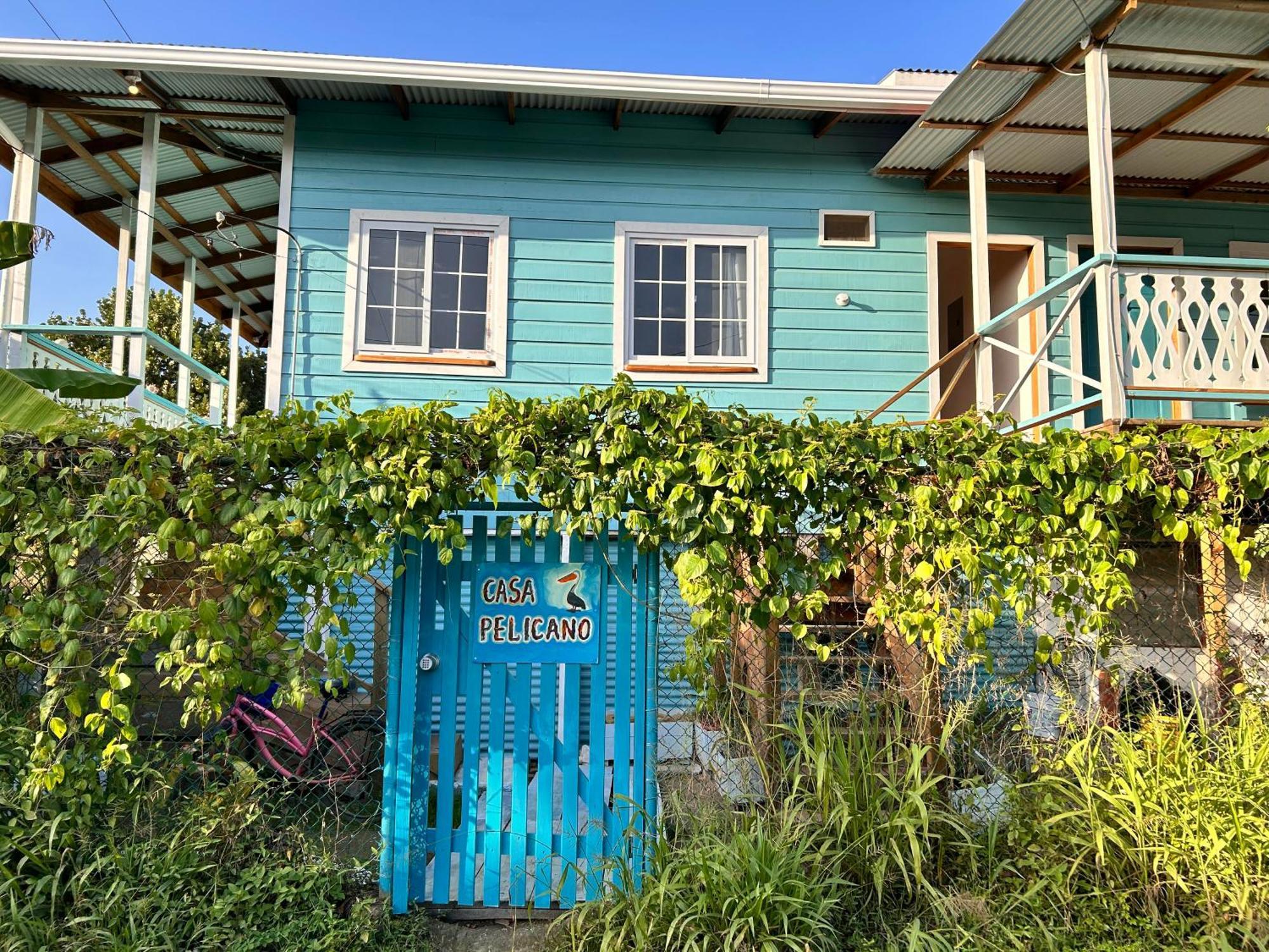 Casa Pelicano Bocas del Toro Exterior foto